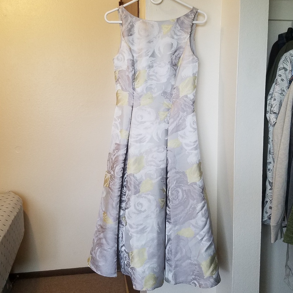 Beautiful Silver and Gold Midi Dress